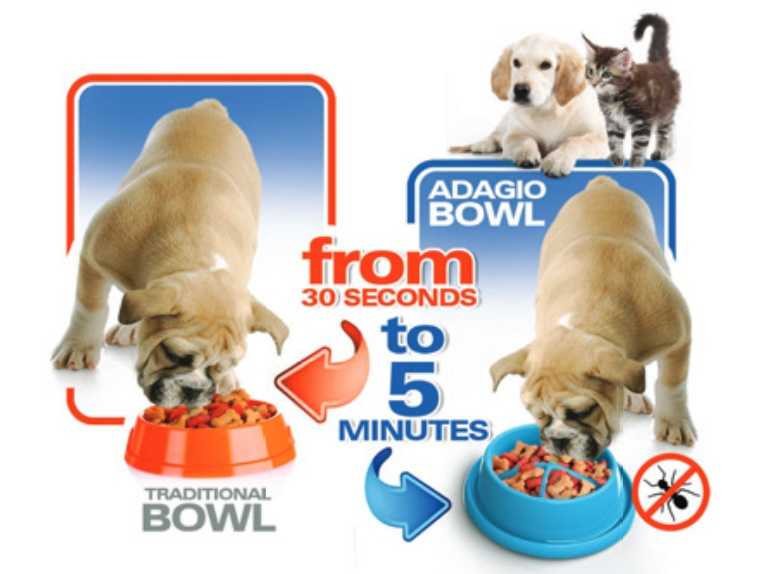 Miska proti hltání Adagio plast malá