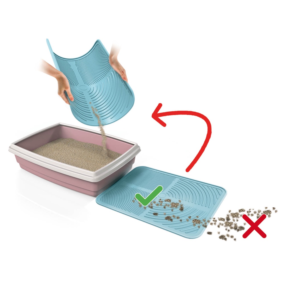 Předložka před WC