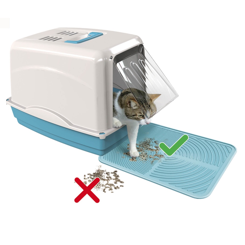 Předložka před WC