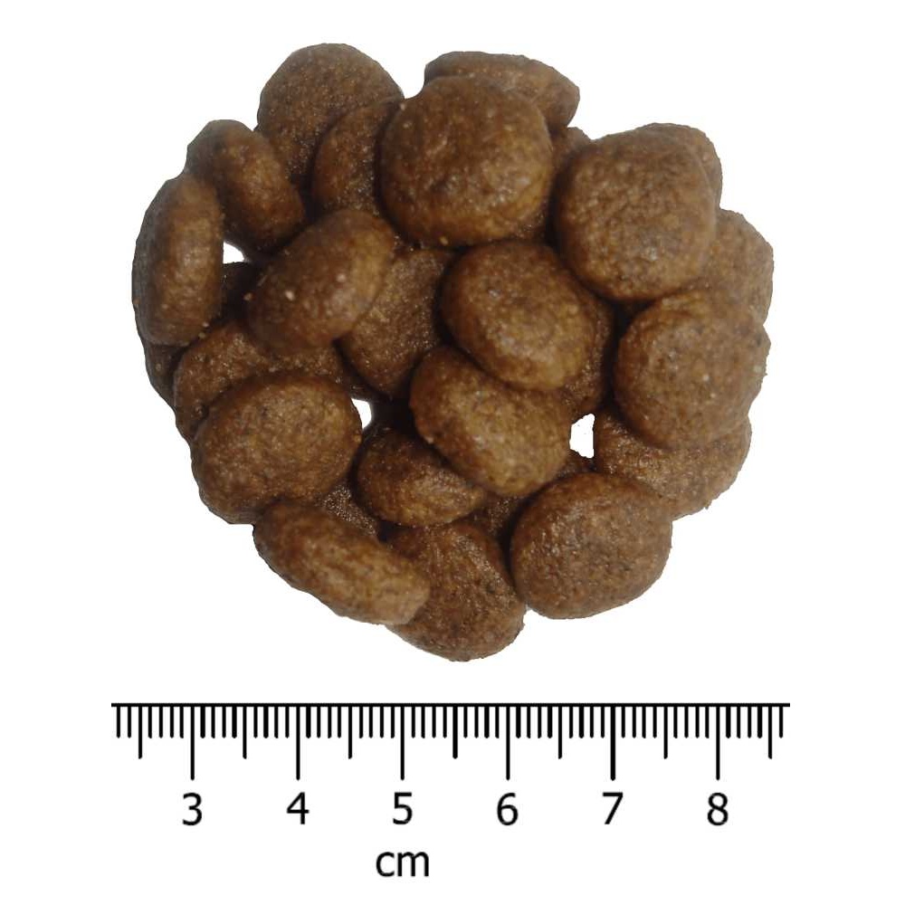 OPTIMAnova Dog Adult Medium Chicken & Rice 2 kg