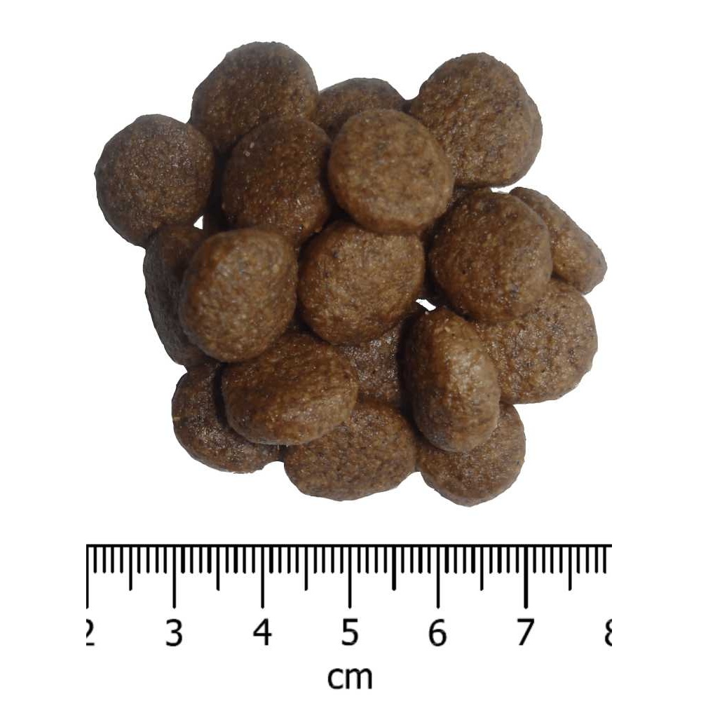 OPTIMAnova Dog Puppy Large Chicken & Rice 12 kg