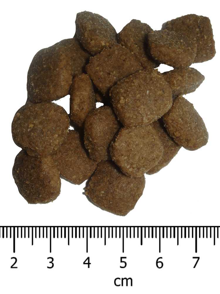 OPTIMAnova Dog Adult Active 12 kg