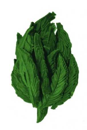 Dentální lístečky Mint JUKO Snacks (40 ks)