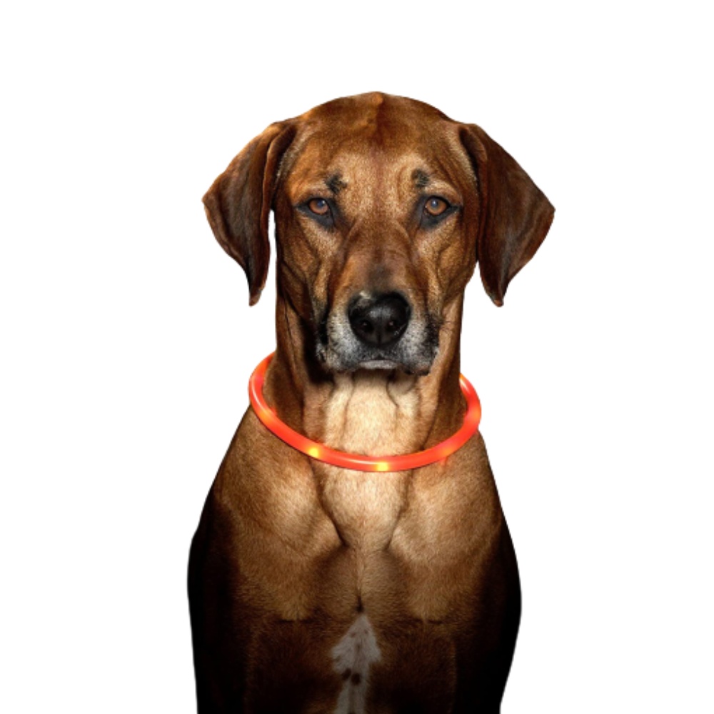 LED obojek dobíjecí Karlie, oranžová 75 cm