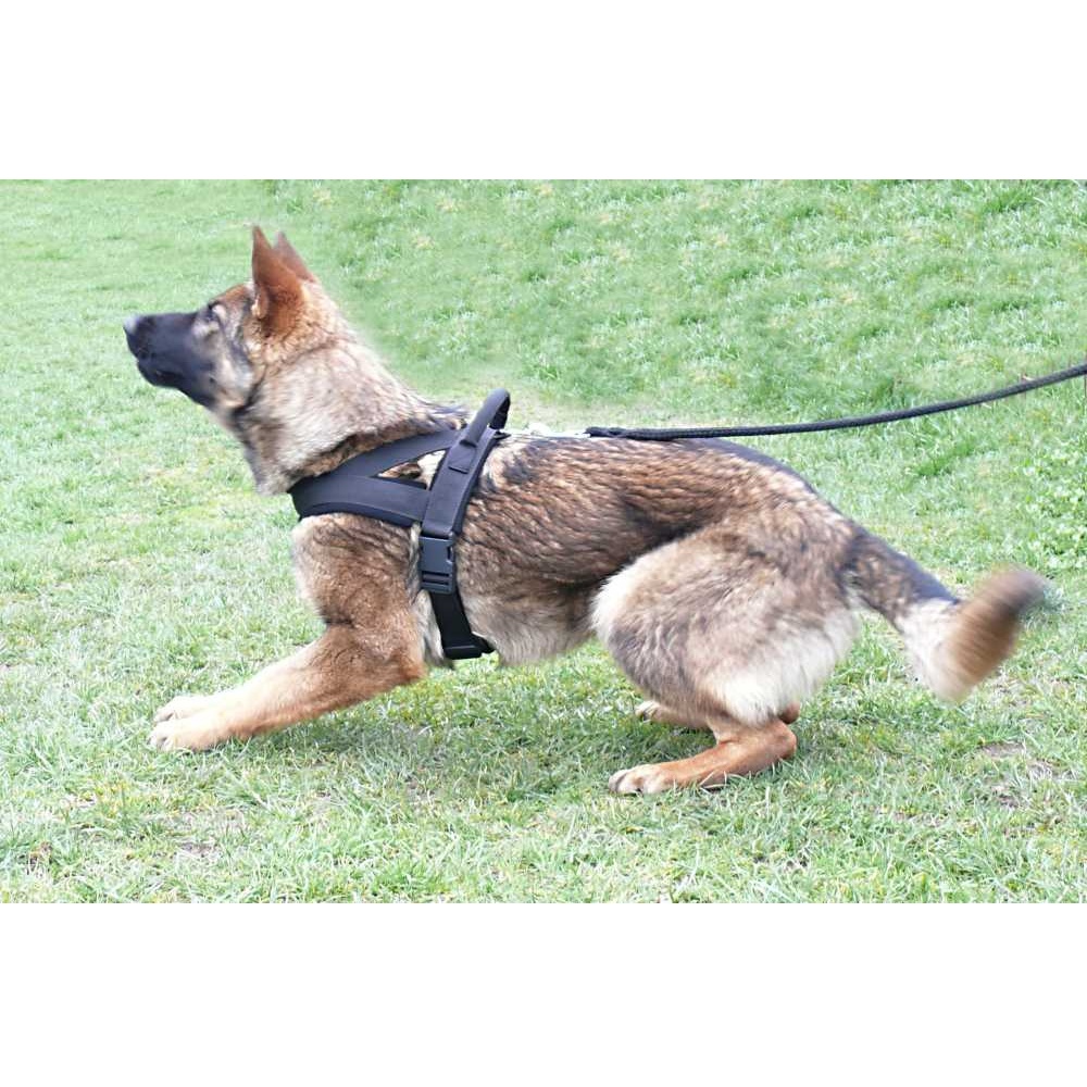 Postroj s úchytem L