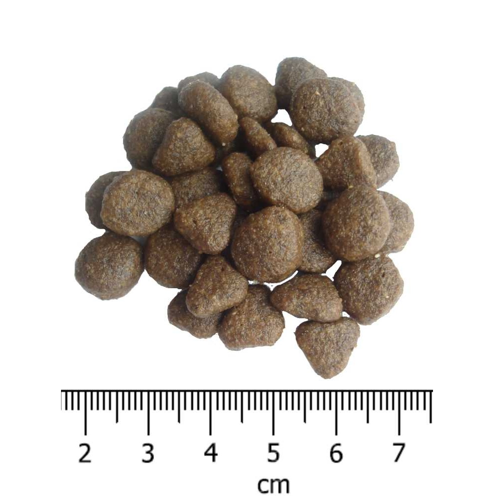 OPTIMAnova Cat Salmon & Potato GF 8 kg