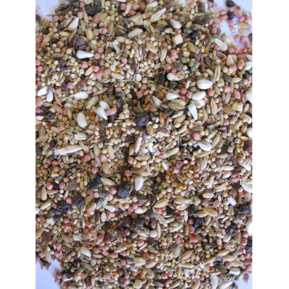 Deli Nature Birdelicious Africký papoušík 800 g