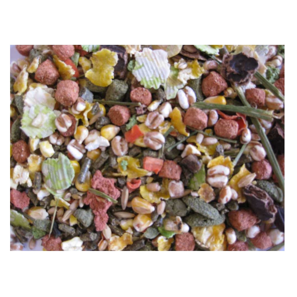 Deli Nature Premium morče 12,5 kg