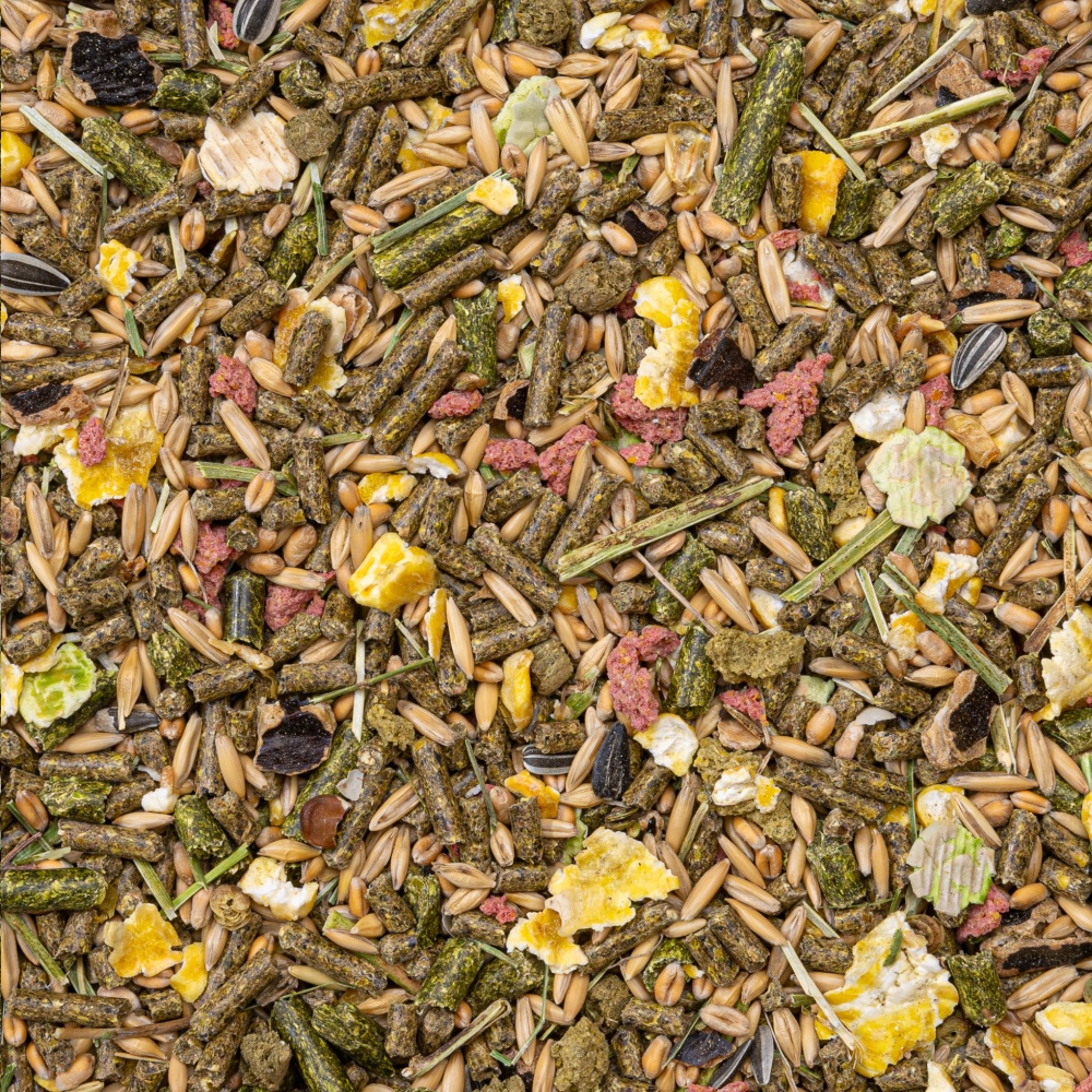 Deli Nature Basic morče 15 kg