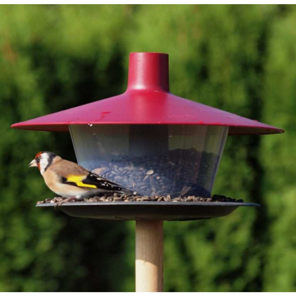 Krmítko venkovní Finch talíř vínová