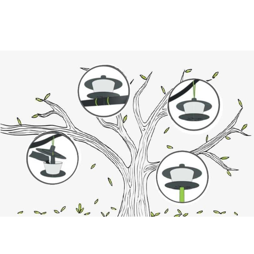 Krmítko venkovní Finch talíř zelená