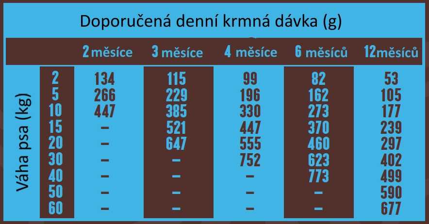Banters Puppy Junior Lamb & Rice 15 kg