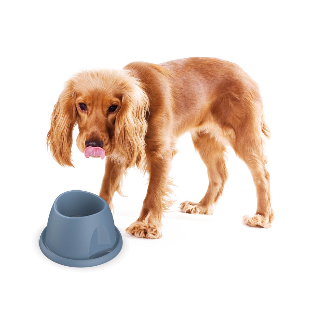 Miska malá hluboká proti mravencům Georgeplast