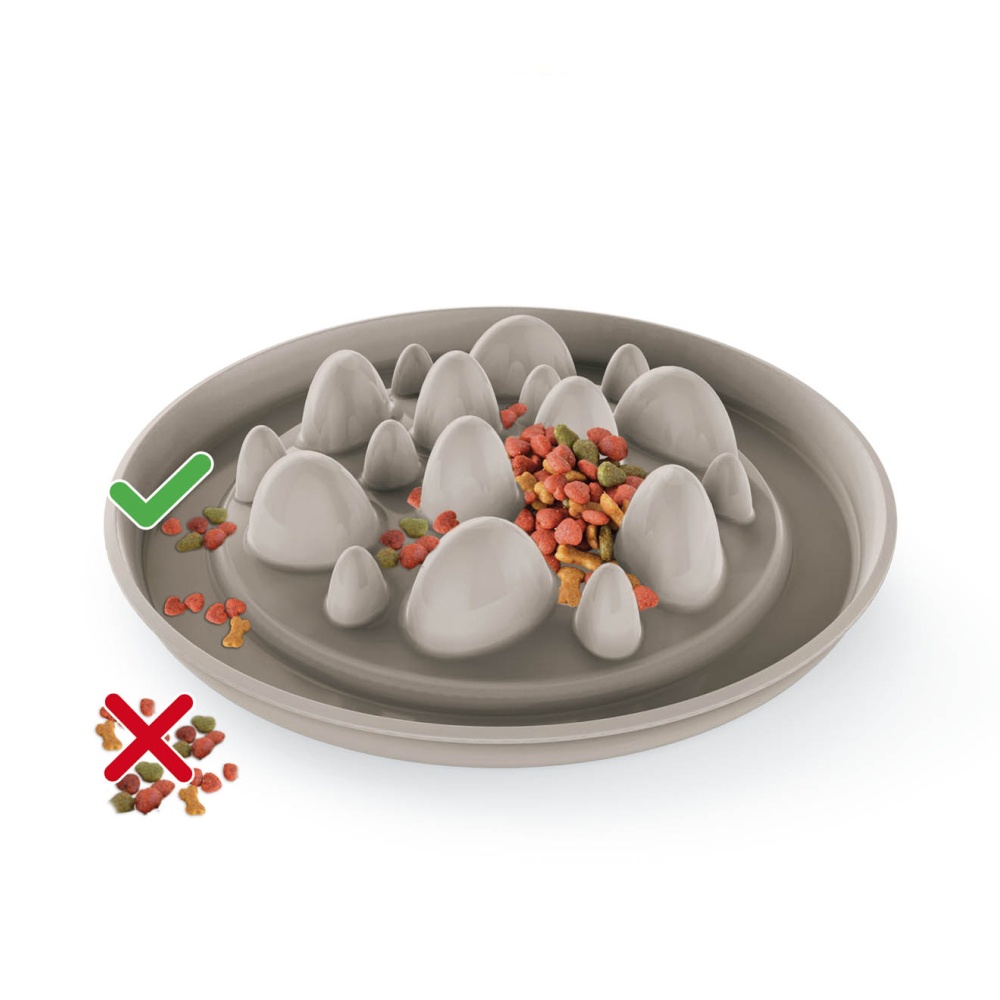 Miska proti hltání Kaktus