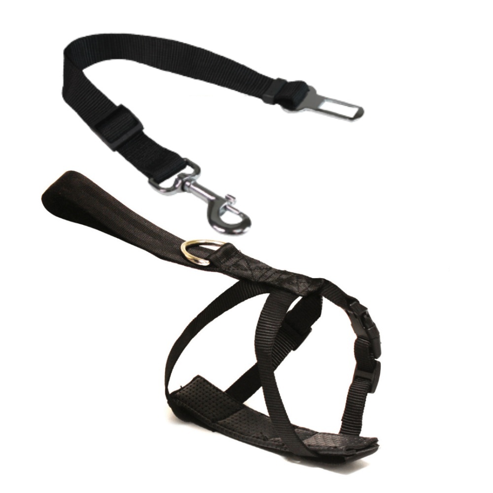 Postroj pro psa do auta Croci S 30-60 cm