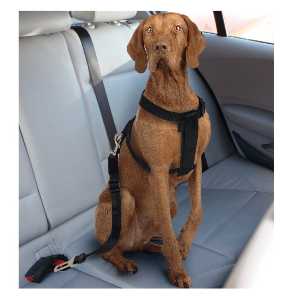 Postroj pro psa do auta Croci XS 20-50 cm