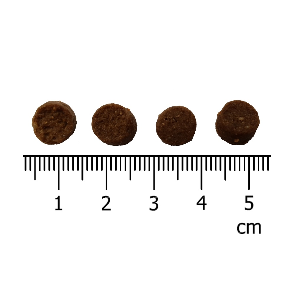 IRONpet Dog Adult Mini Turkey (Krocan) 12 kg