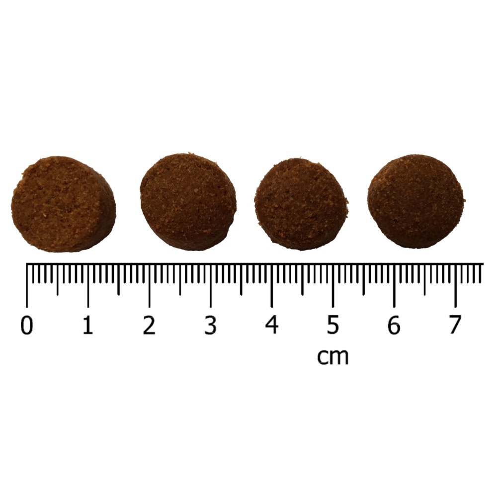 IRONpet Dog Adult Medium Turkey (Krocan) 12 kg