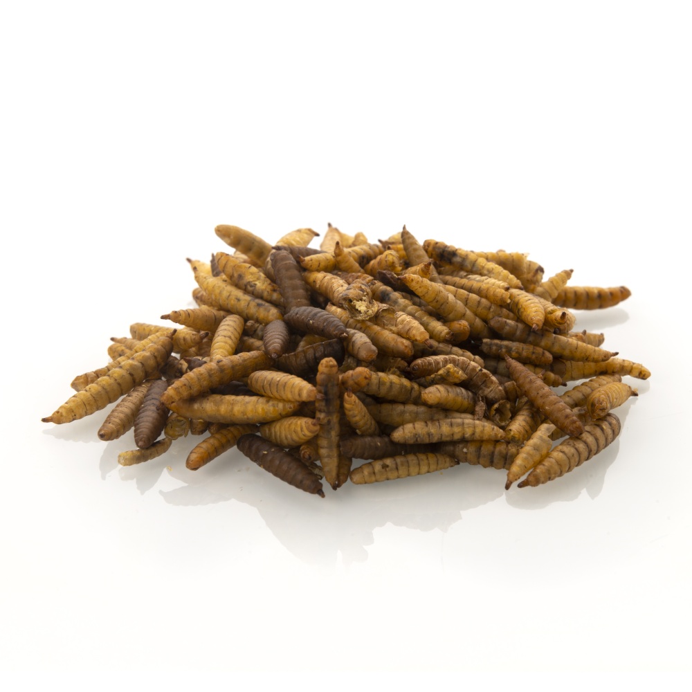 Bráněnka JUKO, dóza 500 ml ( 75 g )