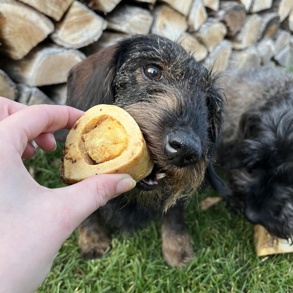 Kost morková sušená, 2 ks