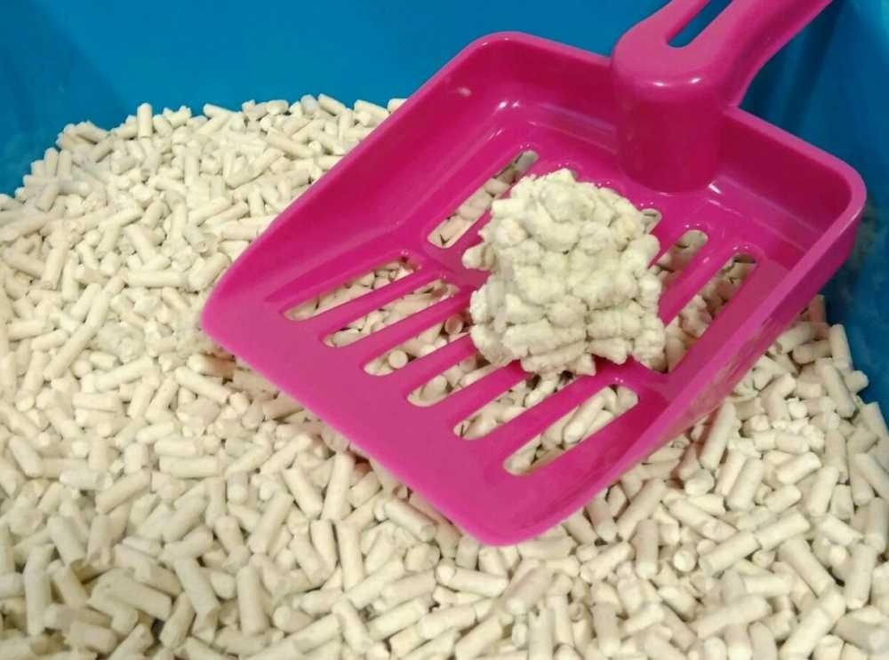 Smarty Tofu Cat Litter Green Tea podestýlka 12 l