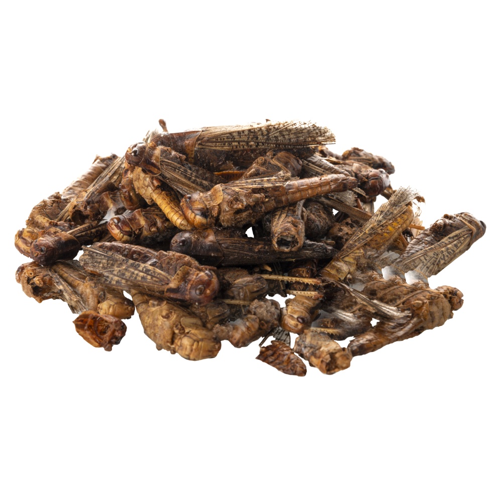 Kobylky, dóza 500 ml (65 g)