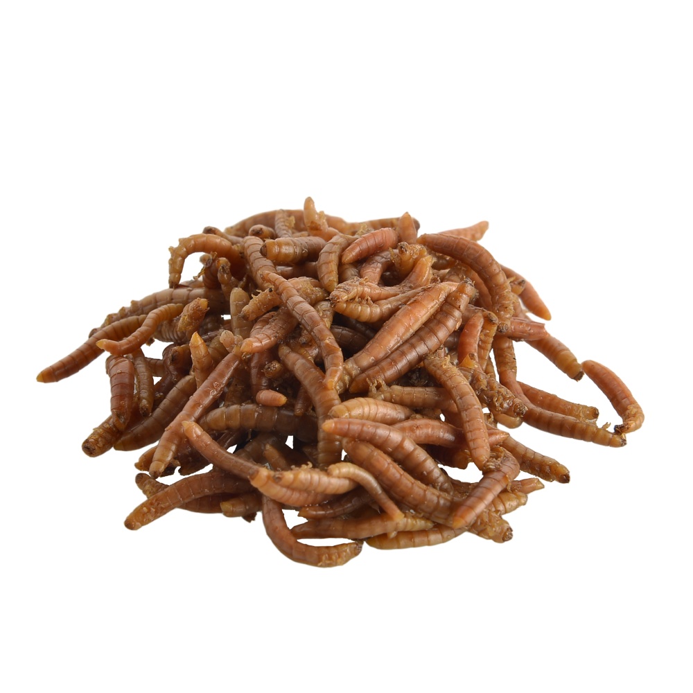 Mouční červi, konzerva 35 g