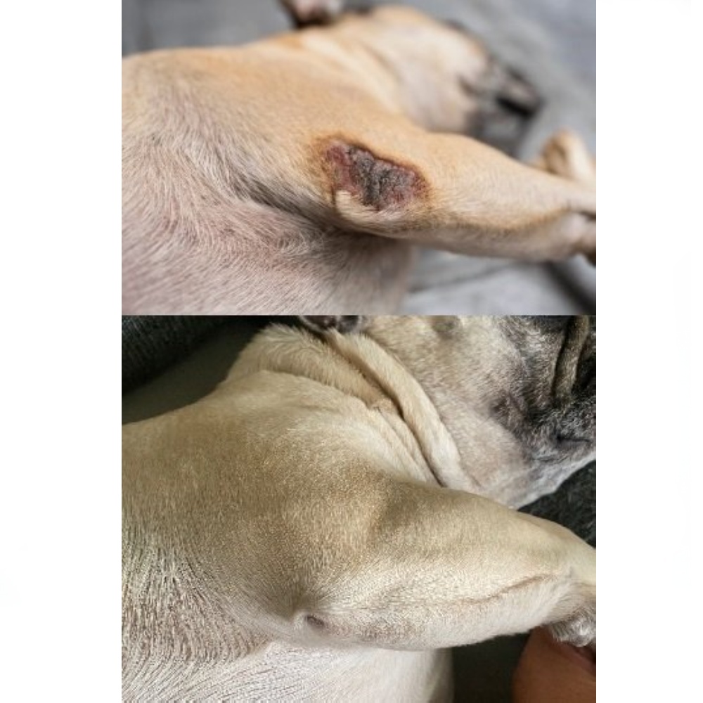 HerbalVet mast na otlaky 150 ml