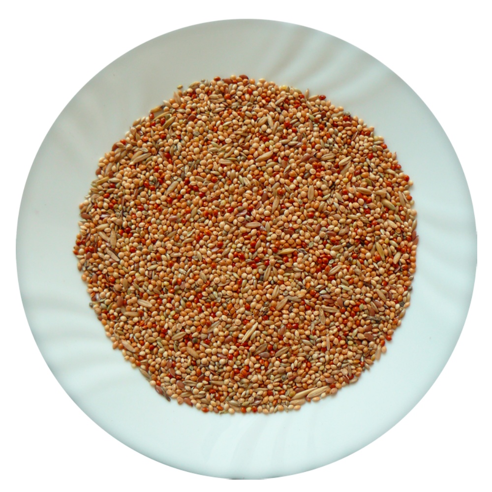 Avicentra Classic Menu Andulka 1 kg