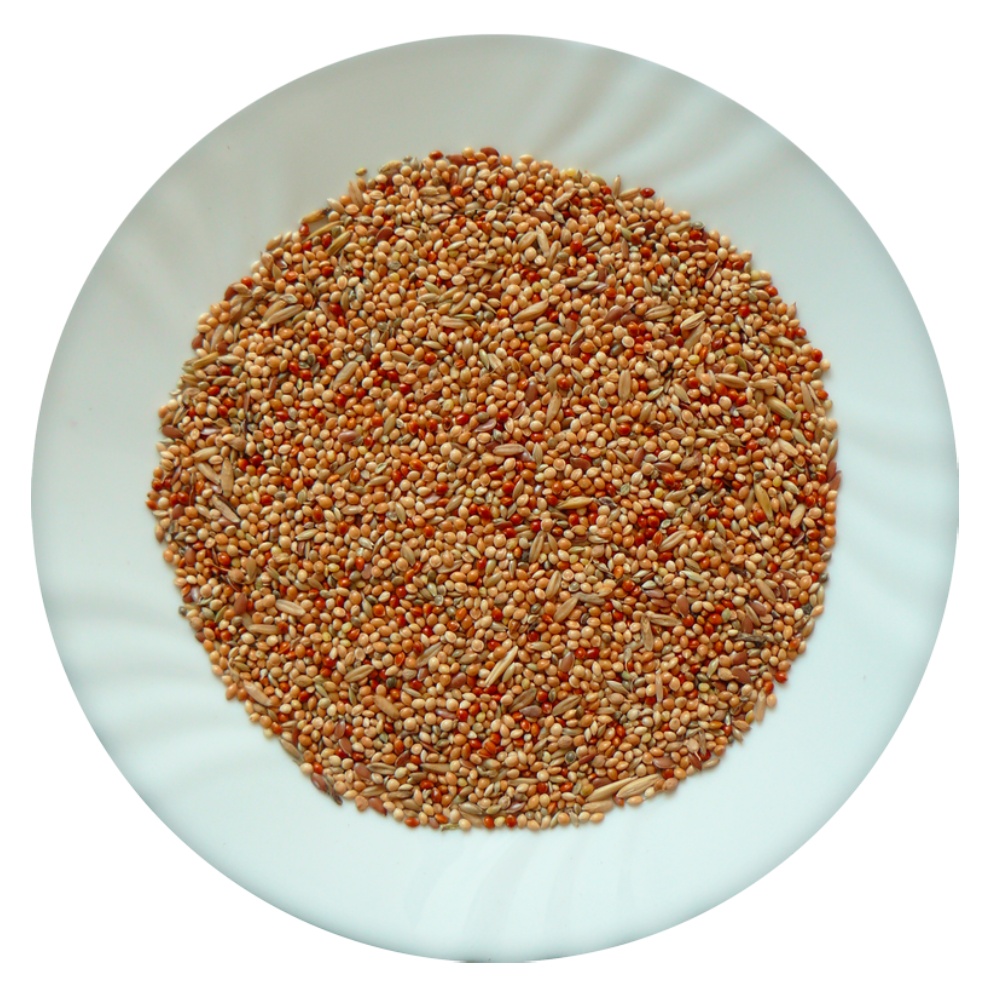 Avicentra Classic Menu Andulka 20 kg