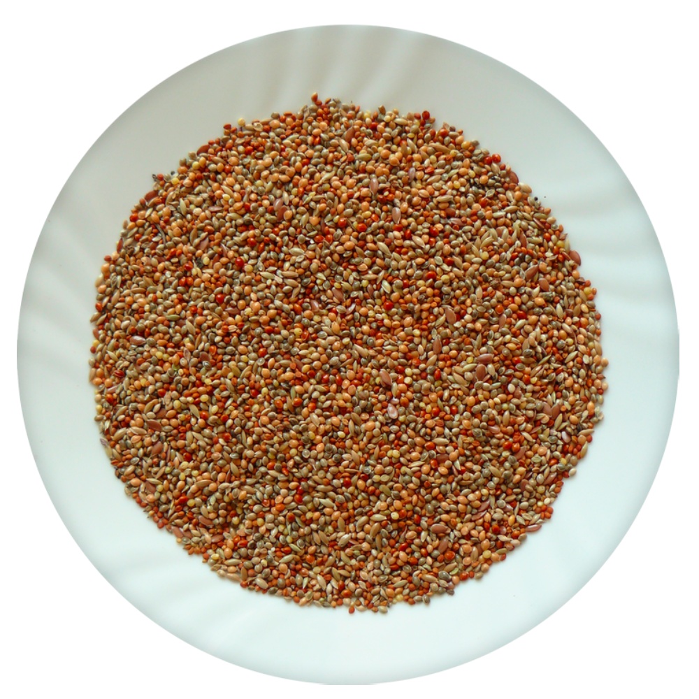 Avicentra Classic Menu Drobný exot 1 kg