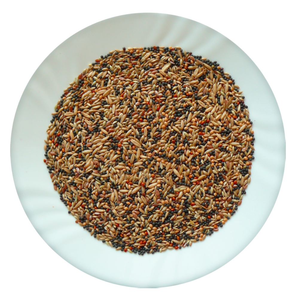 Avicentra Classic Menu Kanár 1 kg