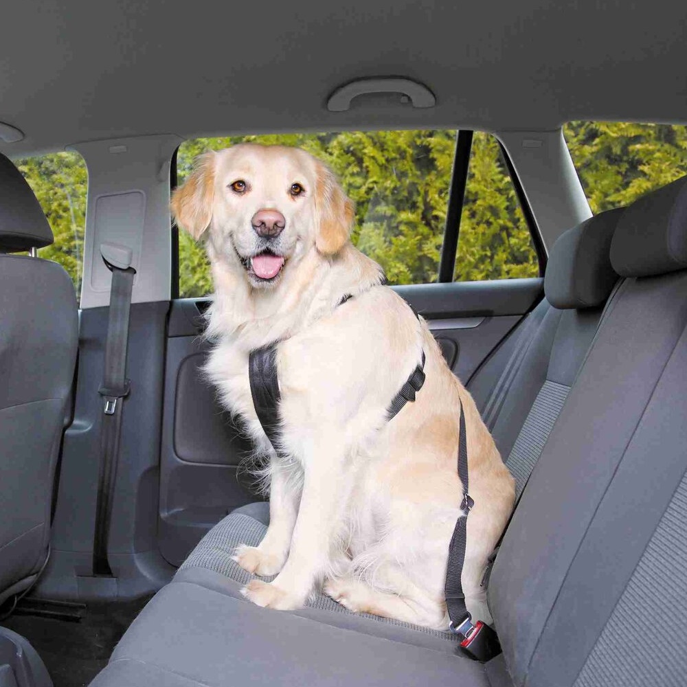 Postroj pro psa do auta Trixie L 70-90 cm