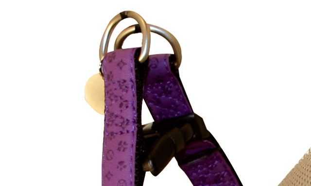 Postroj Mylord fialový 1,5x35-60 cm