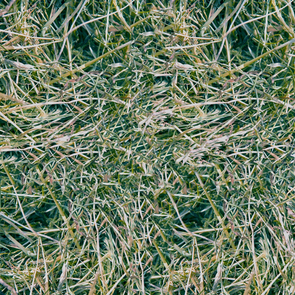 Seno Limara 150 l (5 kg)