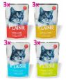 Obrázek z Plaisir Cat Multipack, kapsičky 100 g (12 ks) 
