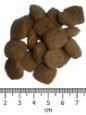 Obrázek z OPTIMAnova Dog Adult Active 12 kg 