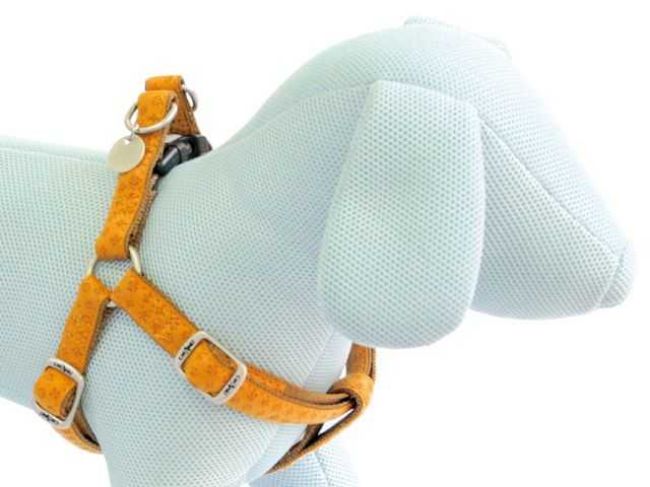 Postroj Mylord béžový 1,5x35-60 cm