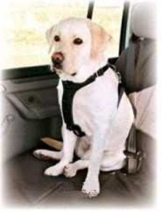 Obrázek Postroj pro psa do auta Trixie S 30-60 cm