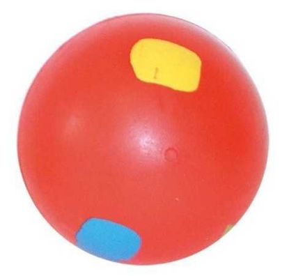 Obrázek Hračka pes - míč plný TG 5 cm