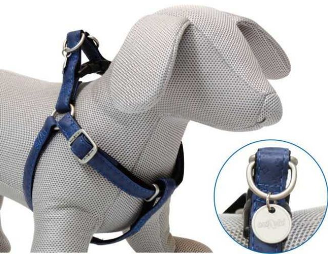 Postroj Mylord modrá 1,5x35-60 cm