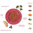 Obrázek z Amanova Dog Turkey GF (P07), kapsička 100 g 
