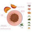 Obrázek z Amanova Dog Salmon & Turkey GF (P06), kapsička 100 g 