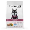 Obrázek z Amanova Dog Adult Sensitive Salmon & Pumpkin GF 2 kg 