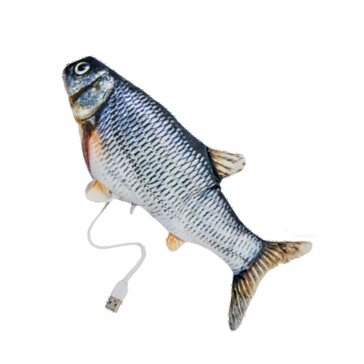 Obrázek z Tančící ryba 