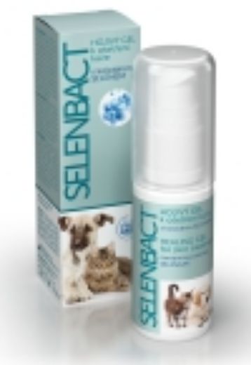 Obrázek pro kategorii Ošetření a hojení