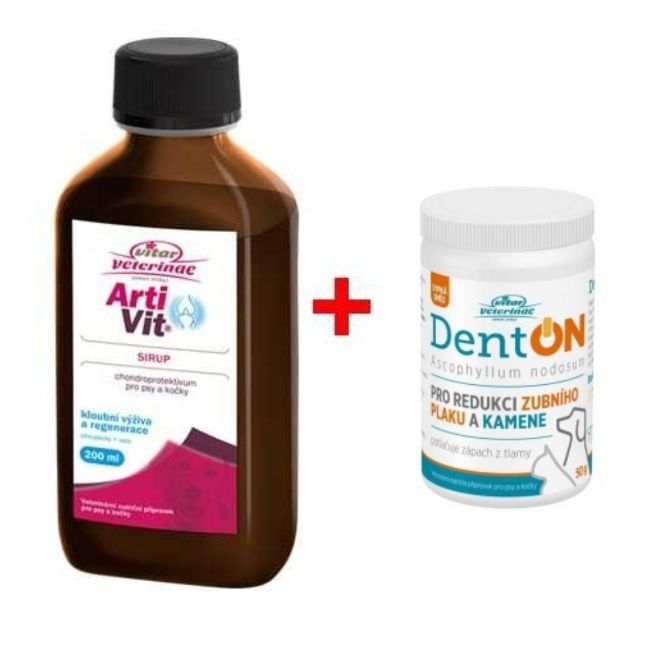 Vitar sirup s DentOn