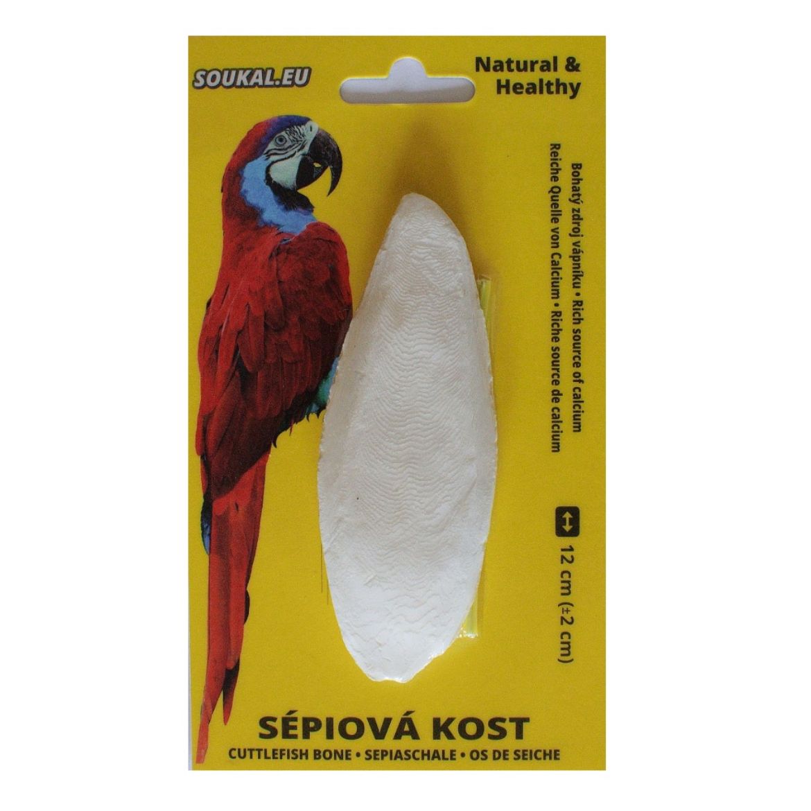 Obrázek z Sépiová kost na kartě cca 12 cm (1 ks) 