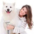 Obrázek z Sada pro péči o srst TESLA PetCare Station Pro TQ500 