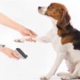 Obrázek z Sada pro péči o srst TESLA PetCare Station Pro TQ500 